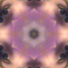 Trap Project Freemode 01.