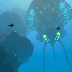 Into the unknown: Remastered