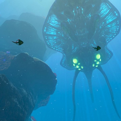 Into the unknown: Remastered