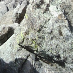 because - 7:30:17, 3.13 AM