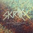 Skrillex - Would you ever (Ollecid REMIX)