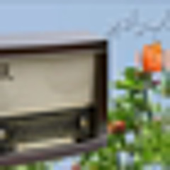 Sha Muhammad Qandahare - سترګی راپورته اشنا ېه مازيګر دی -