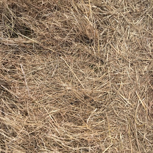 The Unocted Chair and a Half That Changed Everything