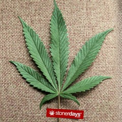 Nonstop - 14 Tracks Classic DJ Minh Anh - Hoàng Anh Đẳng Cấp DJ Việt - DJ Mr.Choi Remix