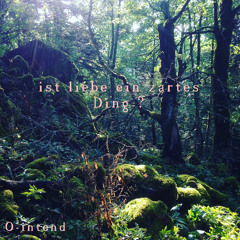 ist liebe ein zartes Ding ? (Prod. By Abel Petit)