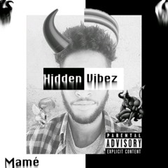 Hidden Vibez.mp3