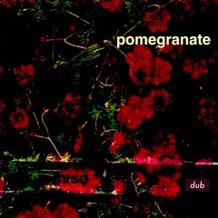pomegranate - Sensoless