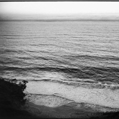 أن تحبي ولدًا رماديًا