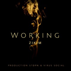 ZIKIM - WORKING  (STDPN)
