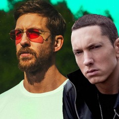 Cash Out & The Real Slim Shady - Eminem & Calvin Harris