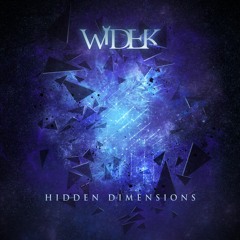 Widek - Euclidean (feat. Gru)
