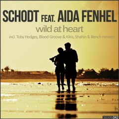 Schodt & Aida Fenhel - Wild At Heart (Braak Sunshine Remix)