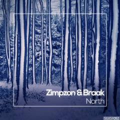 Zimpzon & Braak - Numb