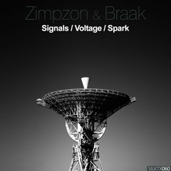 Zimpzon & Braak - Spark (Original Mix)