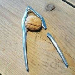 Astrocytes Special Falling Down Bulletin