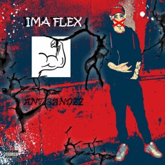 IMA FLEX