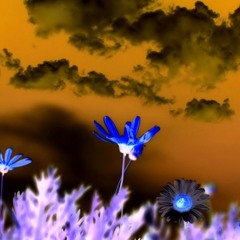 D.R.E.- H.E.R.(Prod. Mykal Riley)ft. Brandon Winters & Fanta$y