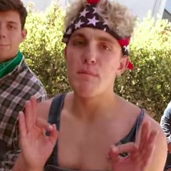 Ohio Fried Chicken (Honkey Donk Remix)