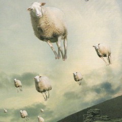 Counting Sheep