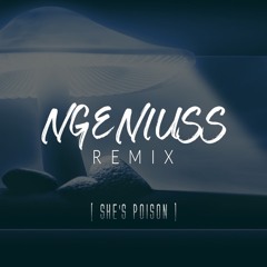 She's Poison - Ngeniuss Remix #1 (ROMderful)