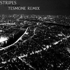 stripess - la vie en rose (tesmone remix)