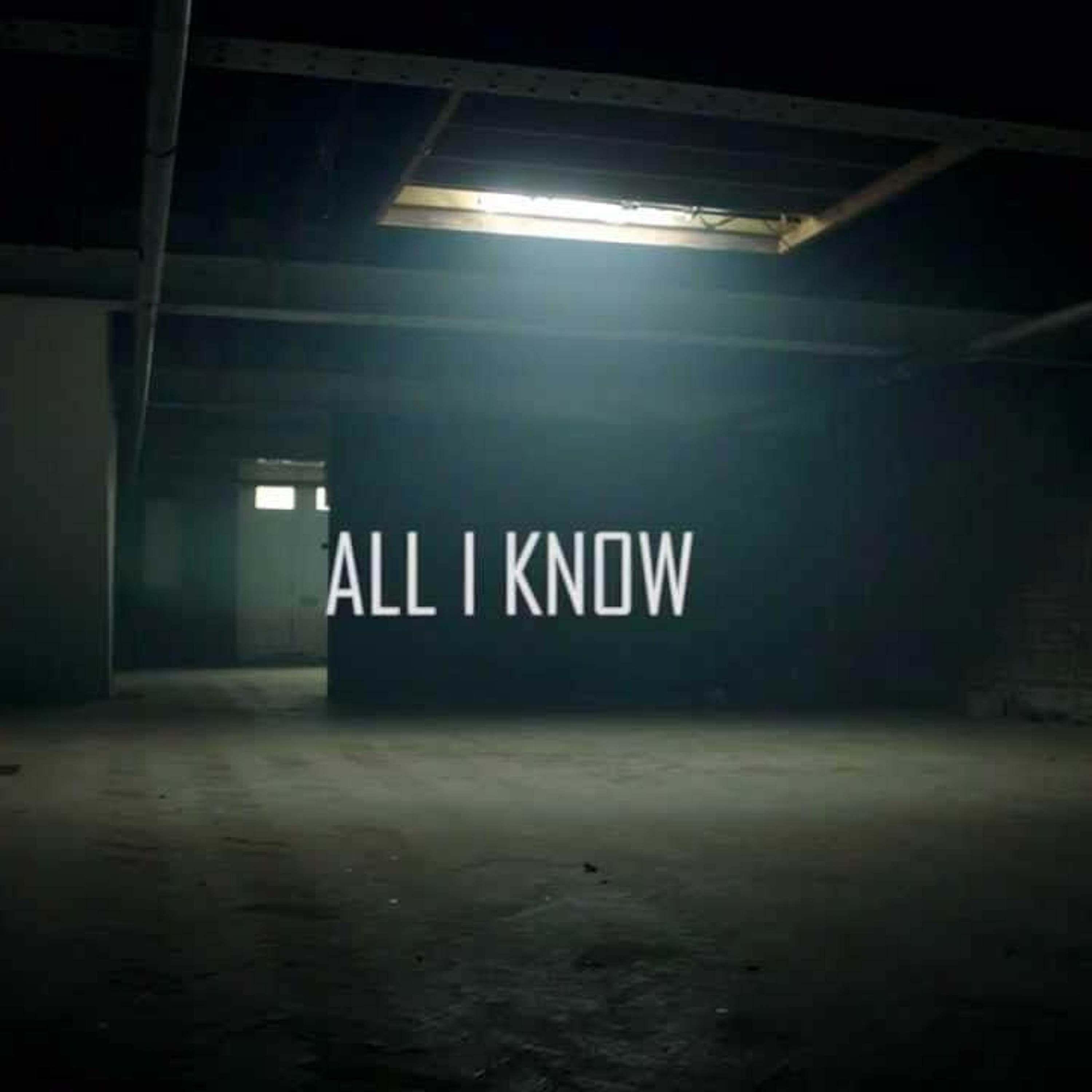 YTNKing- All I Know Feat. Lil'Johnny episode artwork