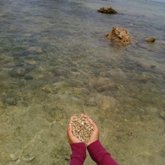 cover-kenangan hidupku (geisha)