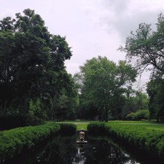 Scientist - Coldplay Cover