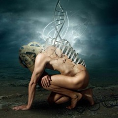 Intelligent Design mvt.V-The Afterlife (Live performance)