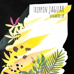 Trippin Jaguar - Ether (Olaf Stuut Remix)