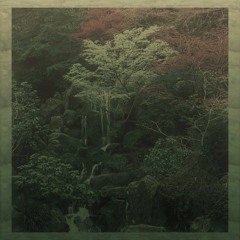 Effervescence