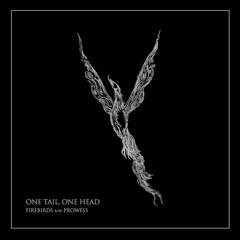 ONE TAIL, ONE HEAD - Firebirds