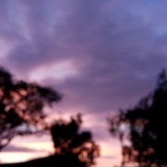 Homesick - Dua Lipa (cover)