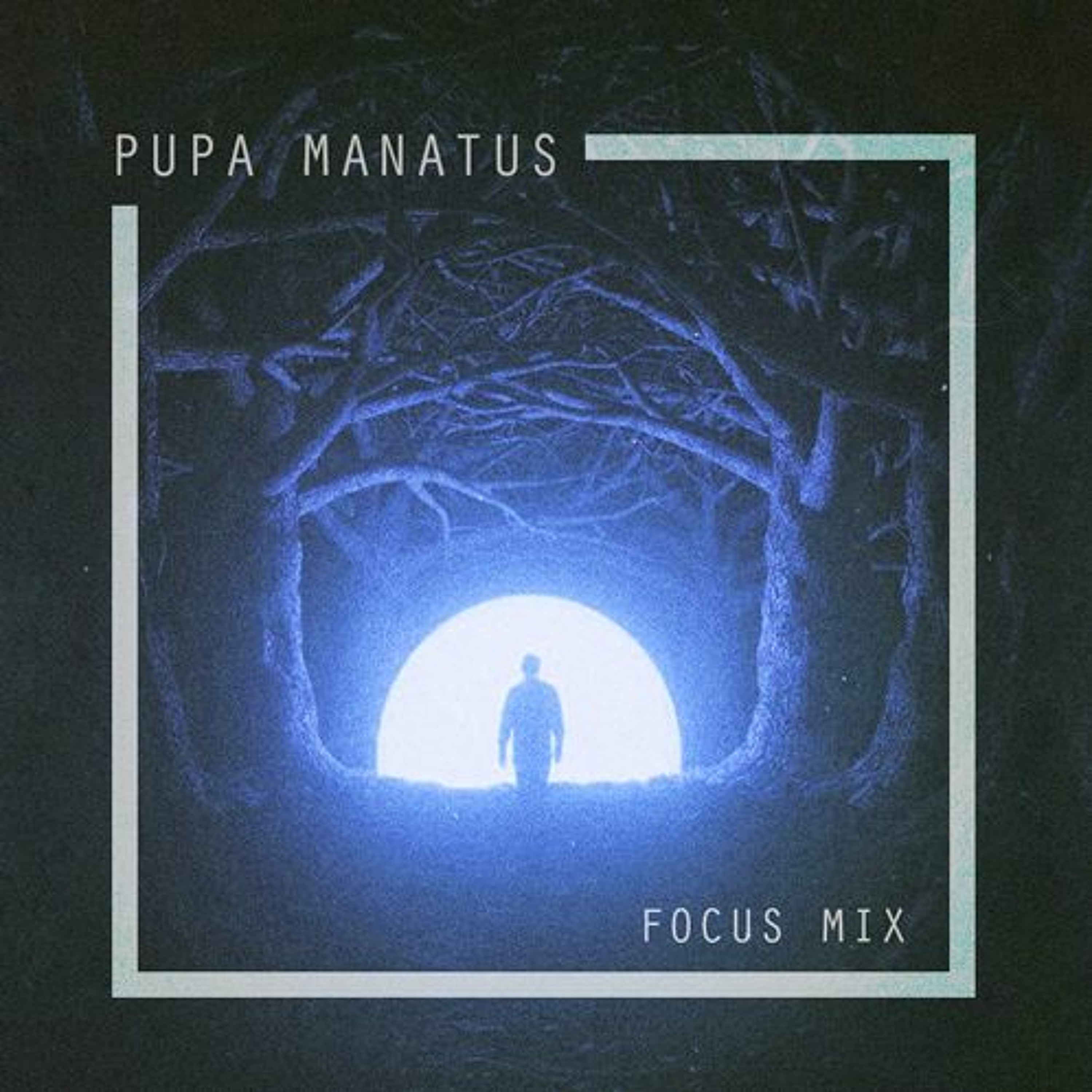 Pupa Manatus - Focus Mix 2017 episode artwork