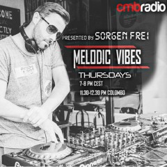 Melodic Vibes no.6 CMB Radio [Sorgenfrei]