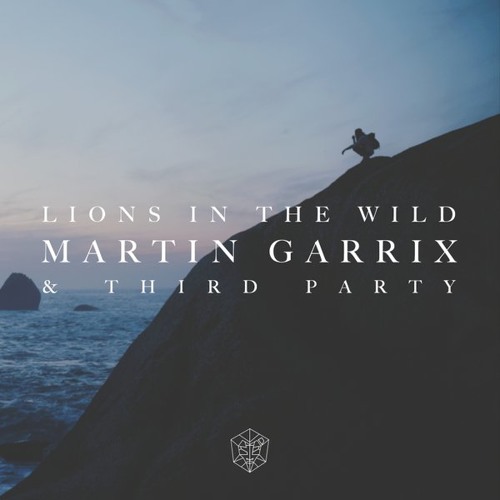 Martin Garrix & Third Party - Lions In The Wild (RVDY Bootleg)