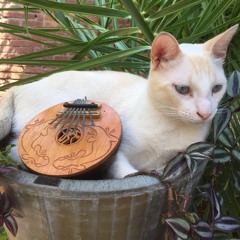 DJ iTunes10.2 - Lotte Kush