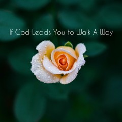 If God Leads You To Walk A Way