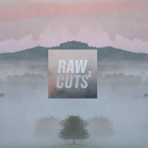 The Whut (ChillHop Raw Cuts 2)