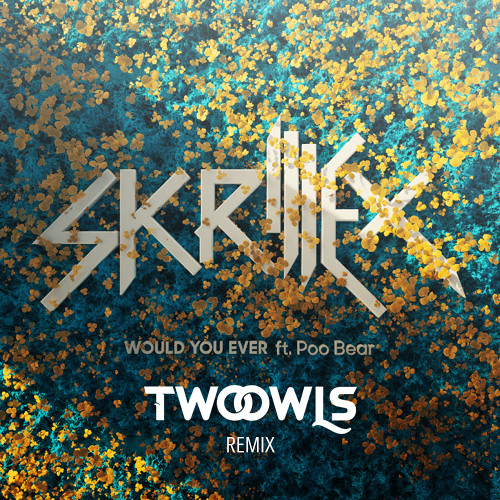 Skrillex x Poo Bear - Would Ü Ever (TWO OWLS Remix)
