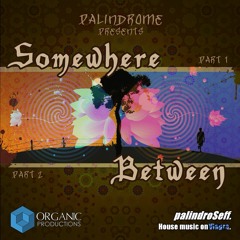 palindrome - Somewhere Between Part 1 (demo v1)