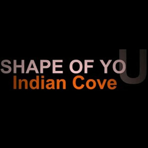 shape of you version indian