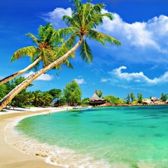 Let's Get Tropical (Volume 1)