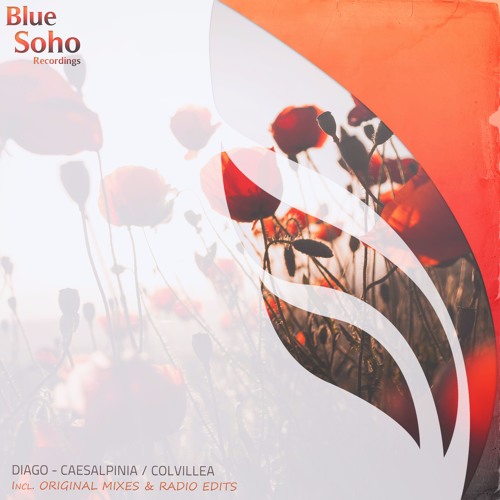 Diago - Colvillea (Original Mix) [PREVIEW]