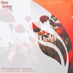 Diago - Caesalpinia (Original Mix) [PREVIEW]