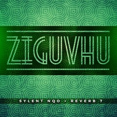Ziguvhu (Radio Edit)