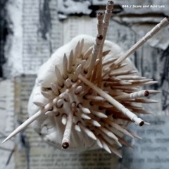 Scale - Mind Control (Tea Of Sears EP - Pinecone Moonshine)