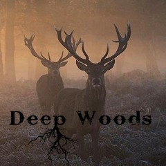 Deep Woods - July Live at inTransit - TBA Brooklyn