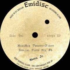 MiniMixTwentyFirst - Special Flute Mix 6