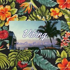 Vibing ft. WalteR